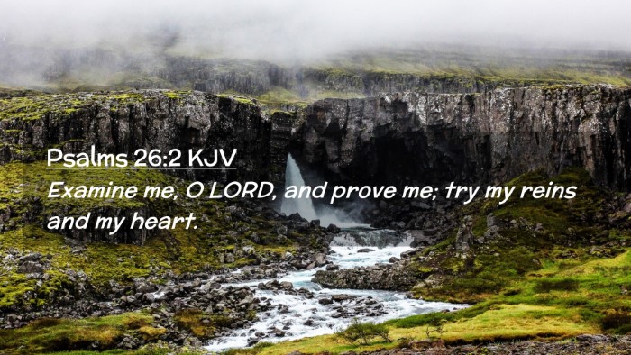 Picture 02 - Psalms 26:2 KJV Desktop Wallpaper - Examine me, O LORD, and prove me; try my reins - Desktop Bible Verse Wallpaper