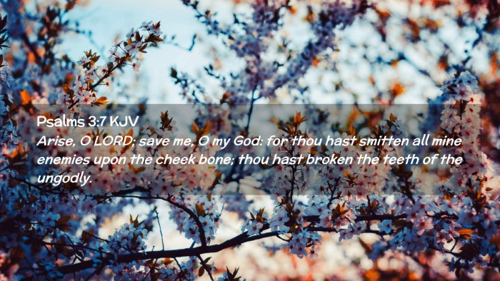 Picture 02 - Psalms 3:7 KJV Desktop Wallpaper - Arise, O LORD; save me, O my God: for thou hast - Desktop Bible Verse Wallpaper