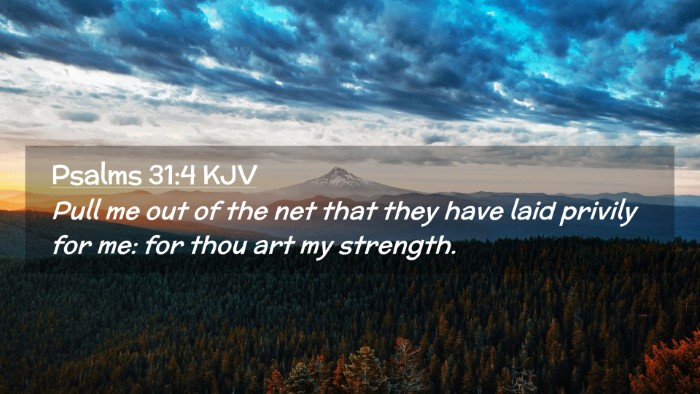 Picture 02 - Psalms 31:4 KJV Desktop Wallpaper - Pull me out of the net that they have laid - Desktop Bible Verse Wallpaper