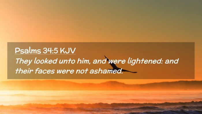 Picture 02 - Psalms 34:5 KJV Desktop Wallpaper - They looked unto him, and were lightened: and - Desktop Bible Verse Wallpaper