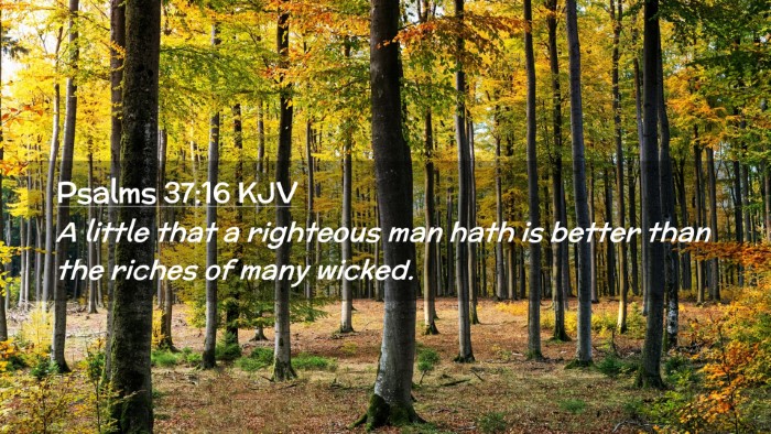 Picture 02 - Psalms 37:16 KJV Desktop Wallpaper - A little that a righteous man hath is better than - Desktop Bible Verse Wallpaper