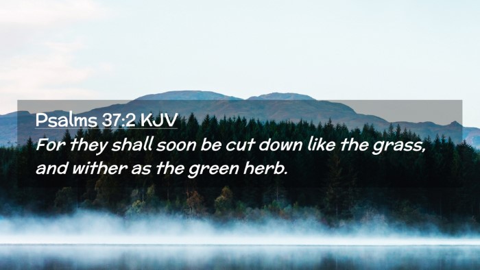 Picture 02 - Psalms 37:2 KJV Desktop Wallpaper - For they shall soon be cut down like the grass, - Desktop Bible Verse Wallpaper