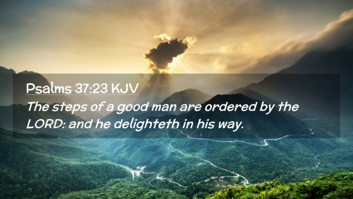 Picture 02 - Psalms 37:23 KJV Desktop Wallpaper - The steps of a good man are ordered by the LORD: - Desktop Bible Verse Wallpaper