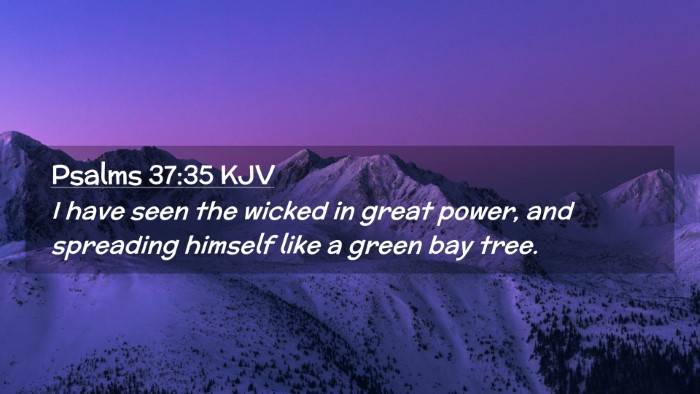 Picture 02 - Psalms 37:35 KJV Desktop Wallpaper - I have seen the wicked in great power, and - Desktop Bible Verse Wallpaper