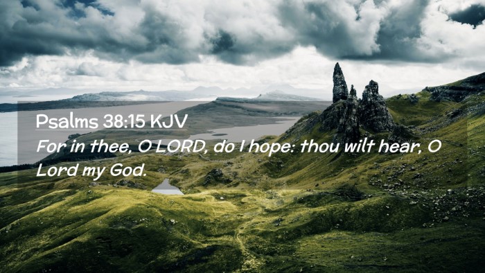 Picture 02 - Psalms 38:15 KJV Desktop Wallpaper - For in thee, O LORD, do I hope: thou wilt hear, O - Desktop Bible Verse Wallpaper