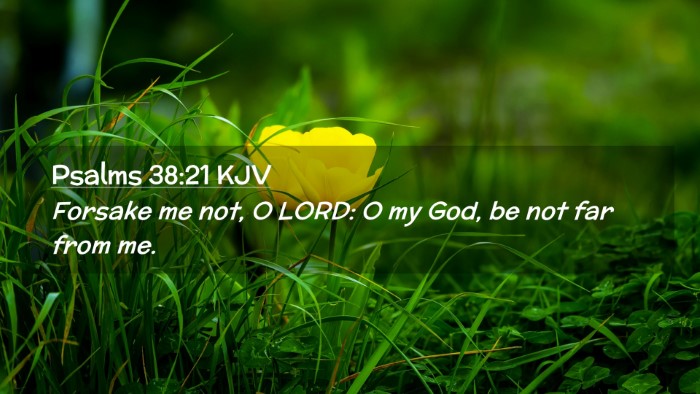 Picture 02 - Psalms 38:21 KJV Desktop Wallpaper - Forsake me not, O LORD: O my God, be not far from - Desktop Bible Verse Wallpaper