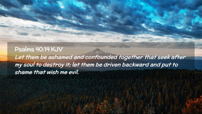 Picture 02 - Psalms 40:14 KJV Desktop Wallpaper - Let them be ashamed and confounded together that - Desktop Bible Verse Wallpaper