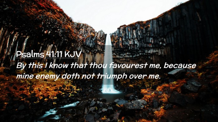 Picture 02 - Psalms 41:11 KJV Desktop Wallpaper - By this I know that thou favourest me, because - Desktop Bible Verse Wallpaper