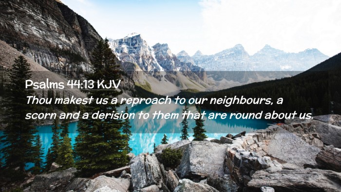 Picture 02 - Psalms 44:13 KJV Desktop Wallpaper - Thou makest us a reproach to our neighbours, a - Desktop Bible Verse Wallpaper