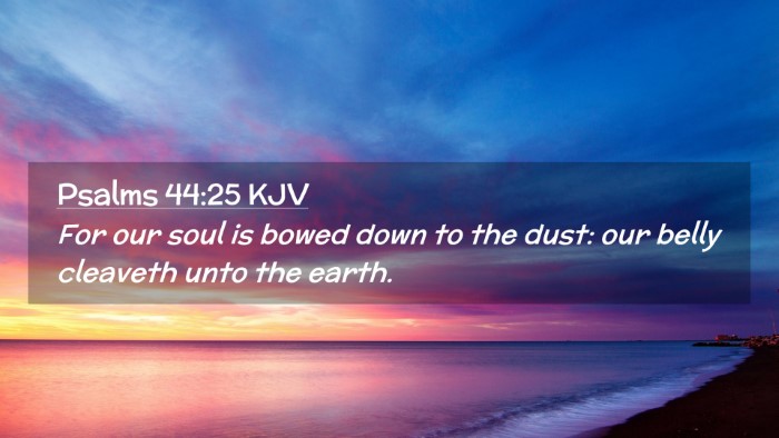 Picture 02 - Psalms 44:25 KJV Desktop Wallpaper - For our soul is bowed down to the dust: our belly - Desktop Bible Verse Wallpaper