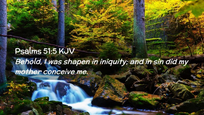 Picture 02 - Psalms 51:5 KJV Desktop Wallpaper - Behold, I was shapen in iniquity; and in sin did - Desktop Bible Verse Wallpaper