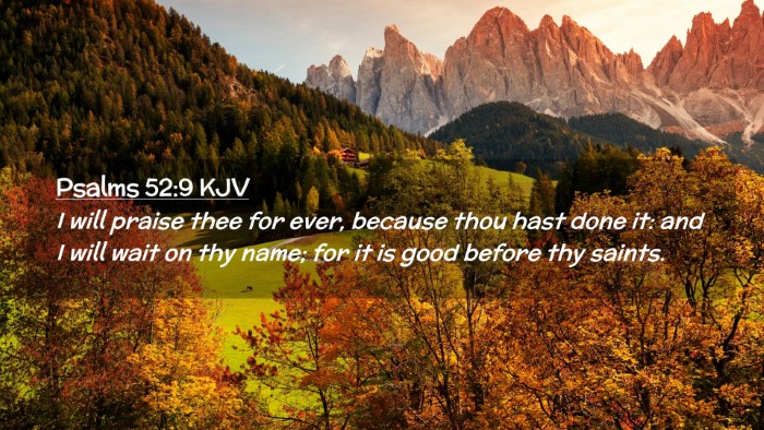 Picture 02 - Psalms 52:9 KJV Desktop Wallpaper - I will praise thee for ever, because thou hast - Desktop Bible Verse Wallpaper