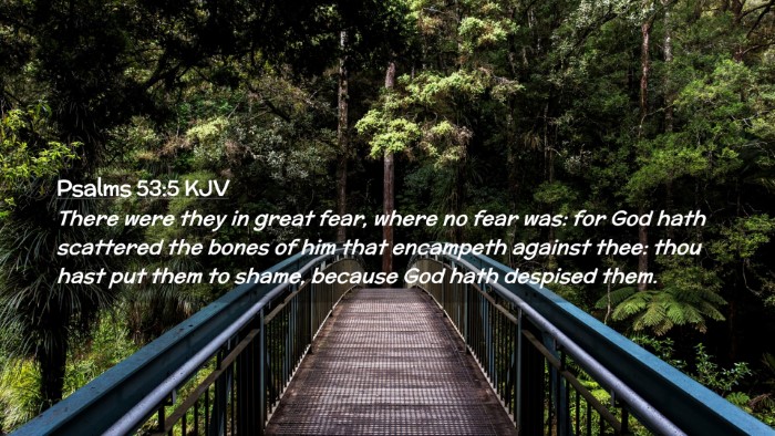 Picture 02 - Psalms 53:5 KJV Desktop Wallpaper - There were they in great fear, where no fear was: - Desktop Bible Verse Wallpaper