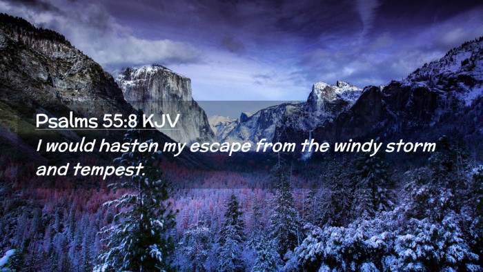 Picture 02 - Psalms 55:8 KJV Desktop Wallpaper - I would hasten my escape from the windy storm and - Desktop Bible Verse Wallpaper