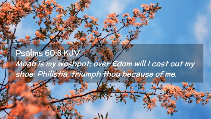 Picture 02 - Psalms 60:8 KJV Desktop Wallpaper - Moab is my washpot; over Edom will I cast out my - Desktop Bible Verse Wallpaper