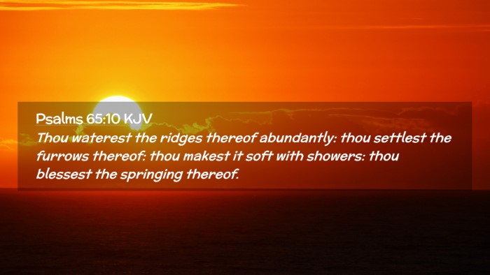 Picture 02 - Psalms 65:10 KJV Desktop Wallpaper - Thou waterest the ridges thereof abundantly: thou - Desktop Bible Verse Wallpaper