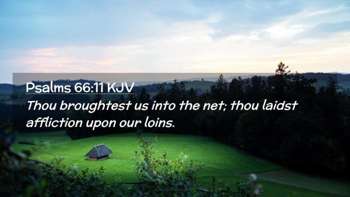 Picture 02 - Psalms 66:11 KJV Desktop Wallpaper - Thou broughtest us into the net; thou laidst - Desktop Bible Verse Wallpaper
