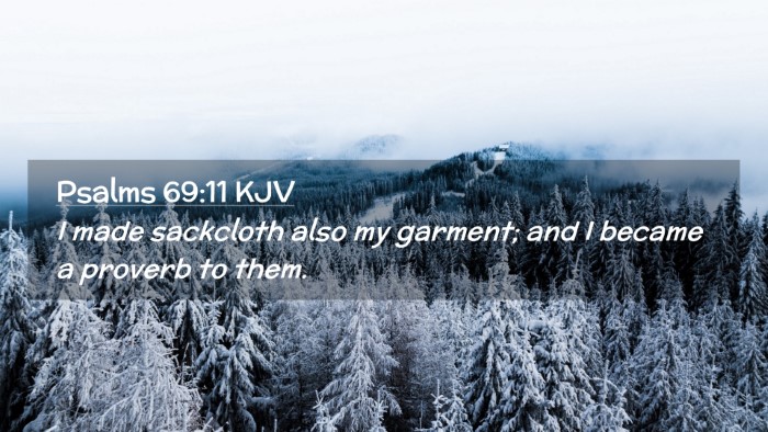 Picture 02 - Psalms 69:11 KJV Desktop Wallpaper - I made sackcloth also my garment; and I became a - Desktop Bible Verse Wallpaper