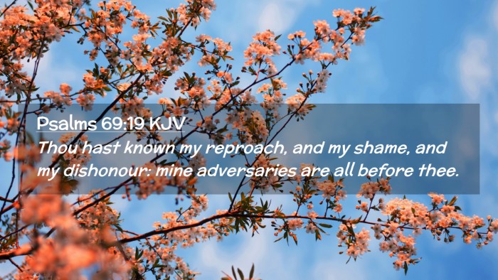 Picture 02 - Psalms 69:19 KJV Desktop Wallpaper - Thou hast known my reproach, and my shame, and my - Desktop Bible Verse Wallpaper