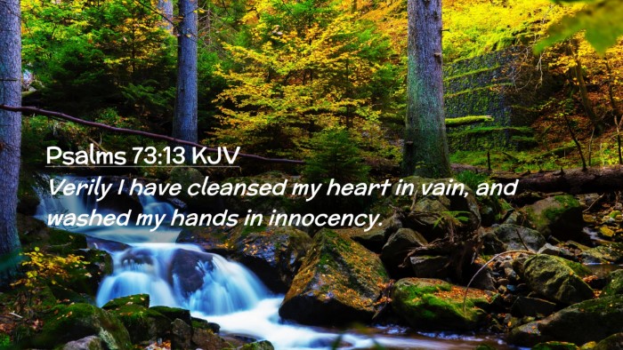 Picture 02 - Psalms 73:13 KJV Desktop Wallpaper - Verily I have cleansed my heart in vain, and - Desktop Bible Verse Wallpaper