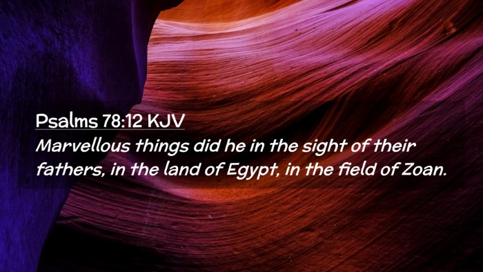 Picture 02 - Psalms 78:12 KJV Desktop Wallpaper - Marvellous things did he in the sight of their - Desktop Bible Verse Wallpaper