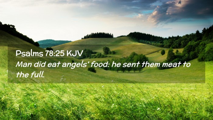 Picture 02 - Psalms 78:25 KJV Desktop Wallpaper - Man did eat angels' food: he sent them meat to - Desktop Bible Verse Wallpaper