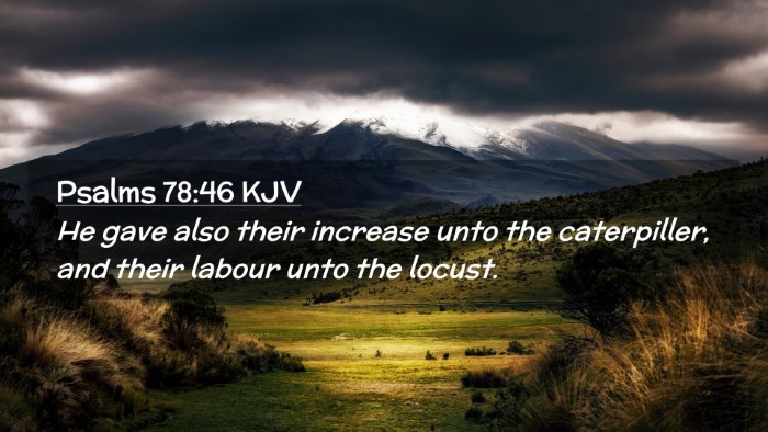 Picture 02 - Psalms 78:46 KJV Desktop Wallpaper - He gave also their increase unto the caterpiller, - Desktop Bible Verse Wallpaper