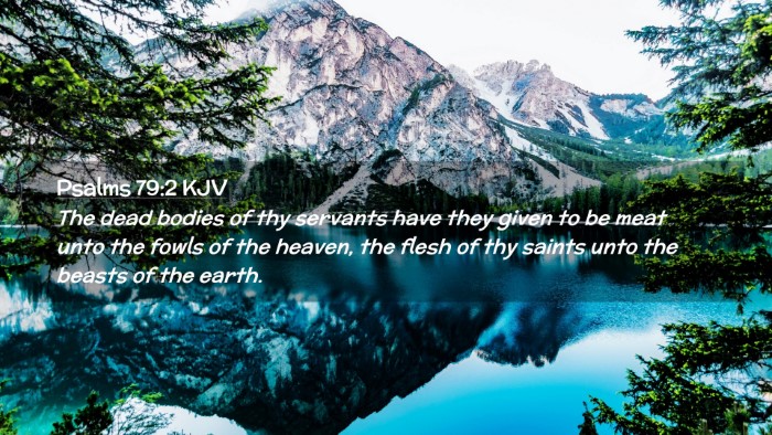 Picture 02 - Psalms 79:2 KJV Desktop Wallpaper - The dead bodies of thy servants have they given - Desktop Bible Verse Wallpaper