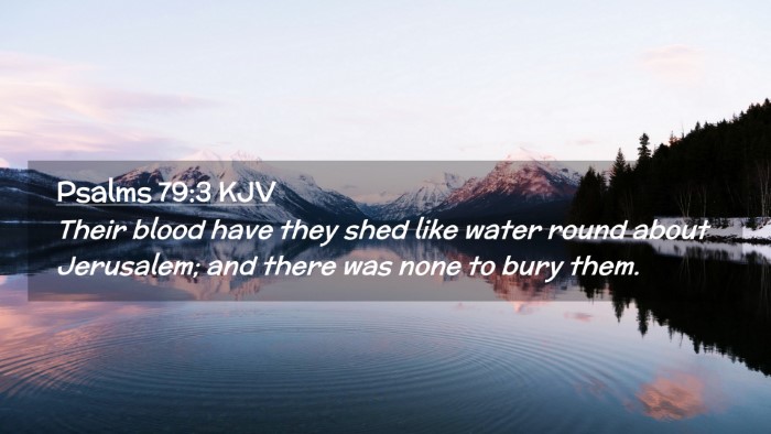 Picture 02 - Psalms 79:3 KJV Desktop Wallpaper - Their blood have they shed like water round about - Desktop Bible Verse Wallpaper