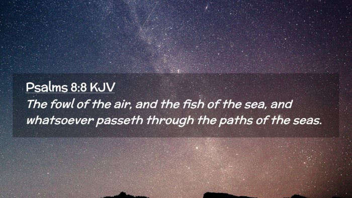 Picture 02 - Psalms 8:8 KJV Desktop Wallpaper - The fowl of the air, and the fish of the sea, and - Desktop Bible Verse Wallpaper