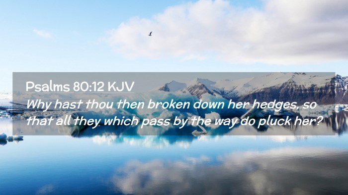 Picture 02 - Psalms 80:12 KJV Desktop Wallpaper - Why hast thou then broken down her hedges, so - Desktop Bible Verse Wallpaper