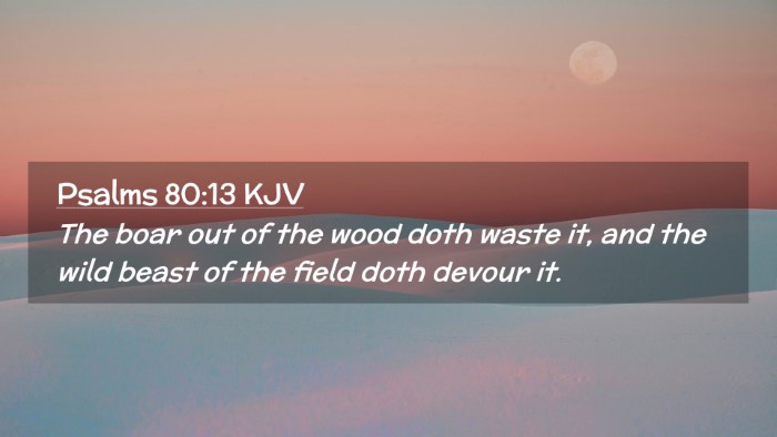 Picture 02 - Psalms 80:13 KJV Desktop Wallpaper - The boar out of the wood doth waste it, and the - Desktop Bible Verse Wallpaper