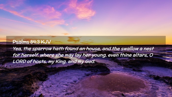 Picture 02 - Psalms 84:3 KJV Desktop Wallpaper - Yea, the sparrow hath found an house, and the - Desktop Bible Verse Wallpaper