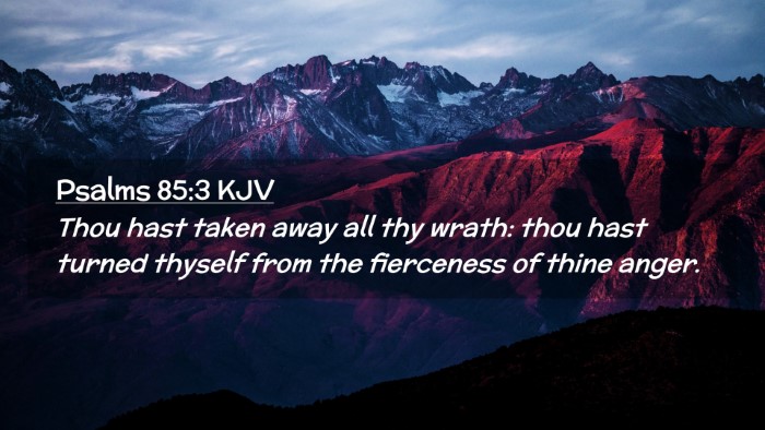 Picture 02 - Psalms 85:3 KJV Desktop Wallpaper - Thou hast taken away all thy wrath: thou hast - Desktop Bible Verse Wallpaper