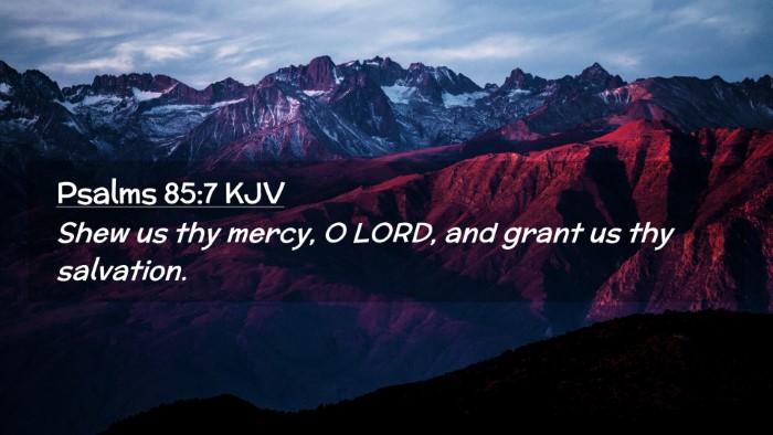 Picture 02 - Psalms 85:7 KJV Desktop Wallpaper - Shew us thy mercy, O LORD, and grant us thy - Desktop Bible Verse Wallpaper