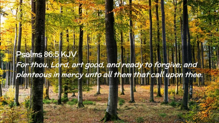 Picture 02 - Psalms 86:5 KJV Desktop Wallpaper - For thou, Lord, art good, and ready to forgive; - Desktop Bible Verse Wallpaper