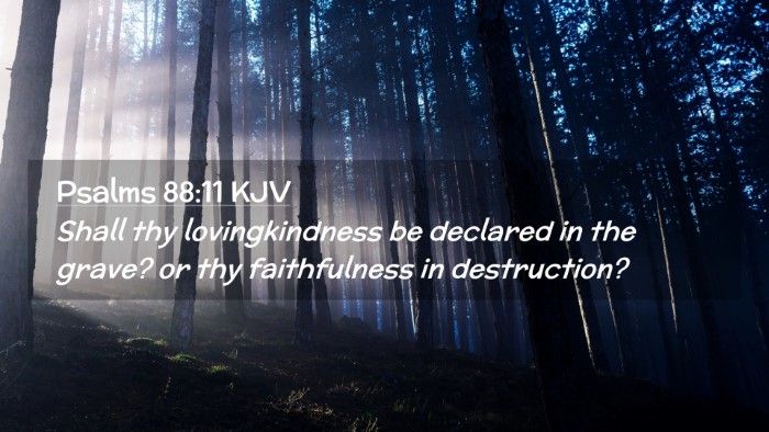 Picture 02 - Psalms 88:11 KJV Desktop Wallpaper - Shall thy lovingkindness be declared in the - Desktop Bible Verse Wallpaper