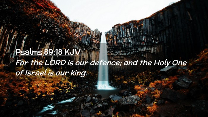 Picture 02 - Psalms 89:18 KJV Desktop Wallpaper - For the LORD is our defence; and the Holy One of - Desktop Bible Verse Wallpaper