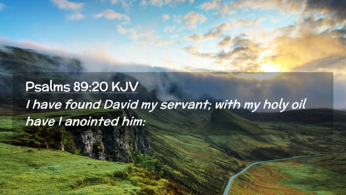 Picture 02 - Psalms 89:20 KJV Desktop Wallpaper - I have found David my servant; with my holy oil - Desktop Bible Verse Wallpaper
