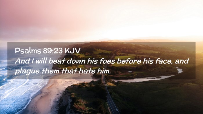 Picture 02 - Psalms 89:23 KJV Desktop Wallpaper - And I will beat down his foes before his face, - Desktop Bible Verse Wallpaper