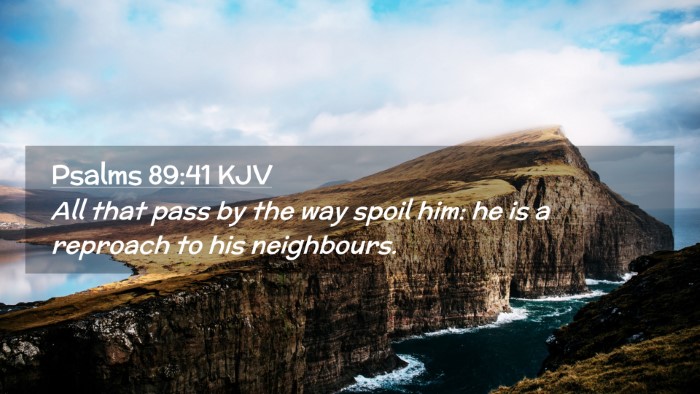 Picture 02 - Psalms 89:41 KJV Desktop Wallpaper - All that pass by the way spoil him: he is a - Desktop Bible Verse Wallpaper