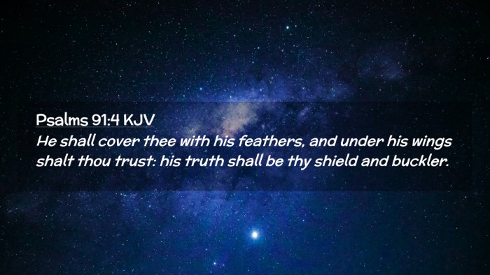 Picture 02 - Psalms 91:4 KJV Desktop Wallpaper - He shall cover thee with his feathers, and under - Desktop Bible Verse Wallpaper