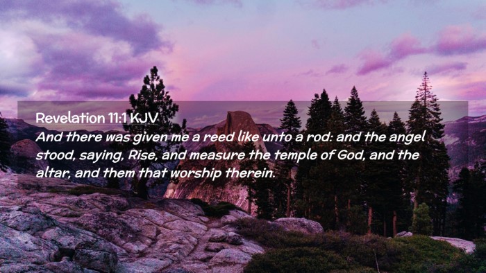 Picture 02 - Revelation 11:1 KJV Desktop Wallpaper - And there was given me a reed like unto a rod: - Desktop Bible Verse Wallpaper