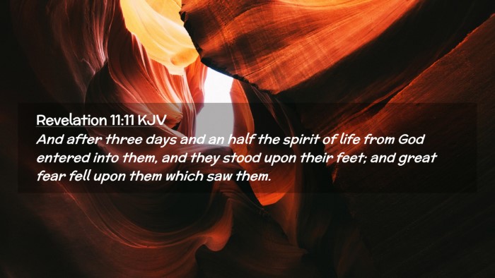 Picture 02 - Revelation 11:11 KJV Desktop Wallpaper - And after three days and an half the spirit of - Desktop Bible Verse Wallpaper