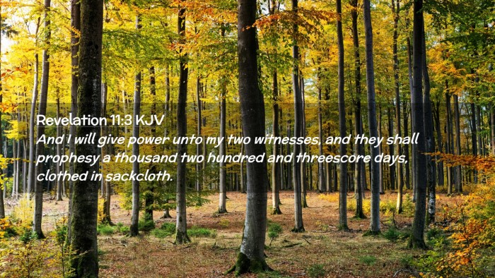 Picture 02 - Revelation 11:3 KJV Desktop Wallpaper - And I will give power unto my two witnesses, and - Desktop Bible Verse Wallpaper