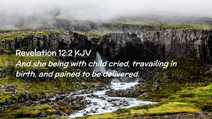 Picture 02 - Revelation 12:2 KJV Desktop Wallpaper - And she being with child cried, travailing in - Desktop Bible Verse Wallpaper