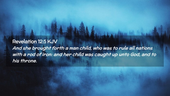 Picture 02 - Revelation 12:5 KJV Desktop Wallpaper - And she brought forth a man child, who was to - Desktop Bible Verse Wallpaper