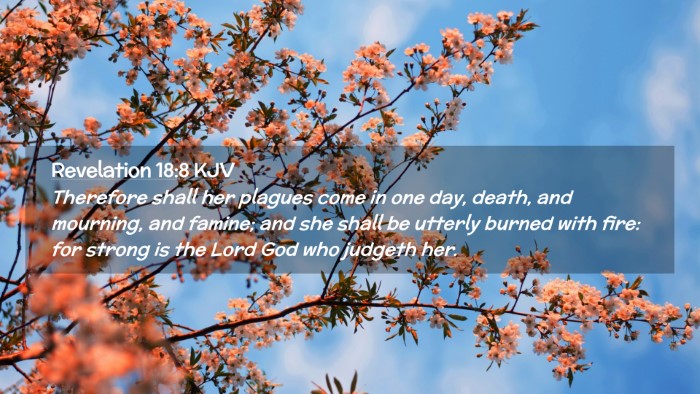 Picture 02 - Revelation 18:8 KJV Desktop Wallpaper - Therefore shall her plagues come in one day, - Desktop Bible Verse Wallpaper