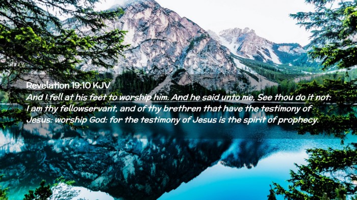 Picture 02 - Revelation 19:10 KJV Desktop Wallpaper - And I fell at his feet to worship him. And he - Desktop Bible Verse Wallpaper