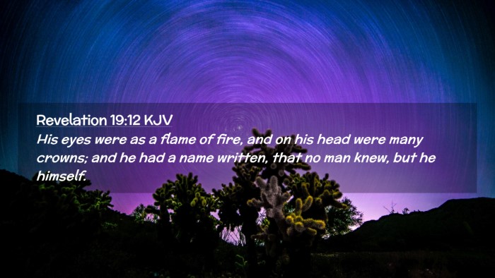 Picture 02 - Revelation 19:12 KJV Desktop Wallpaper - His eyes were as a flame of fire, and on his head - Desktop Bible Verse Wallpaper